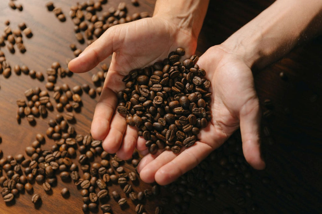 Café de especialidad | VERACRUZ| Tipica, Bourbon y Garnica